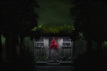 Into The Woods